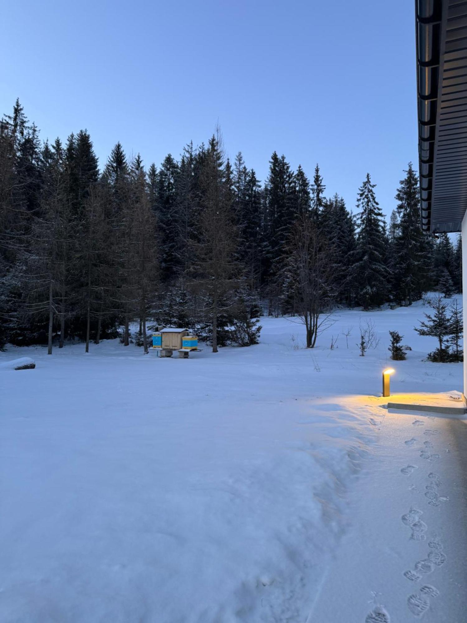 Villa Orawska Knieja 2.0 Lipnica Wielka Exterior foto
